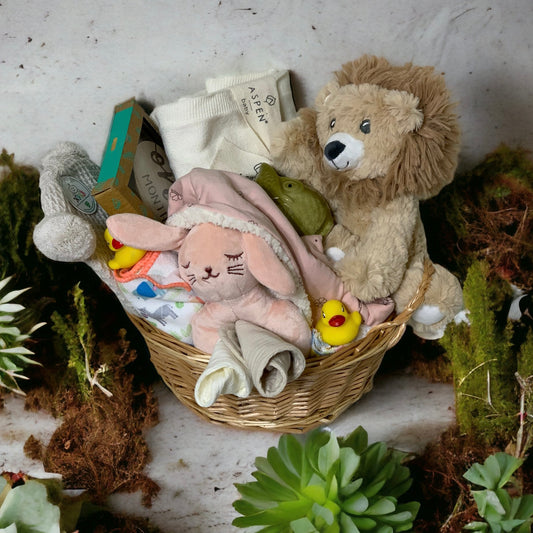 Baby Shower - Baby Girl Gift Basket